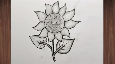 ayçiçeği çizimi kolay